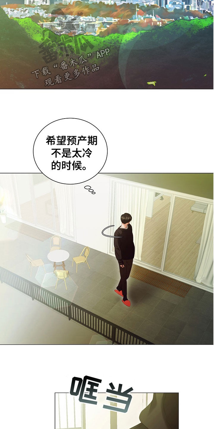 第77章：手册13