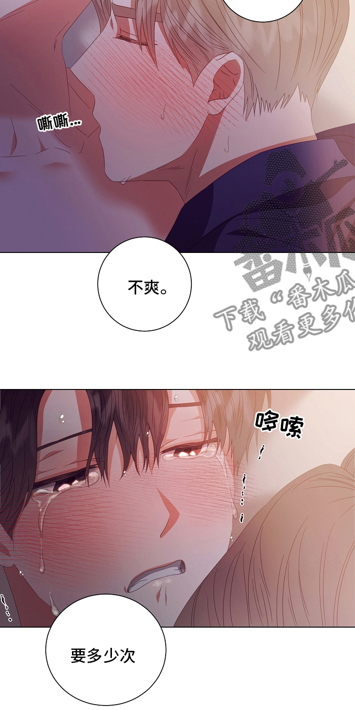 第40章：多少次11