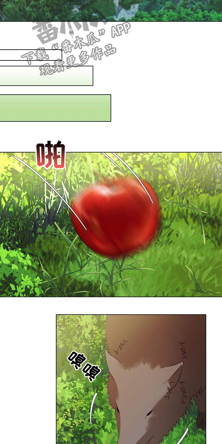第49章：野猪4