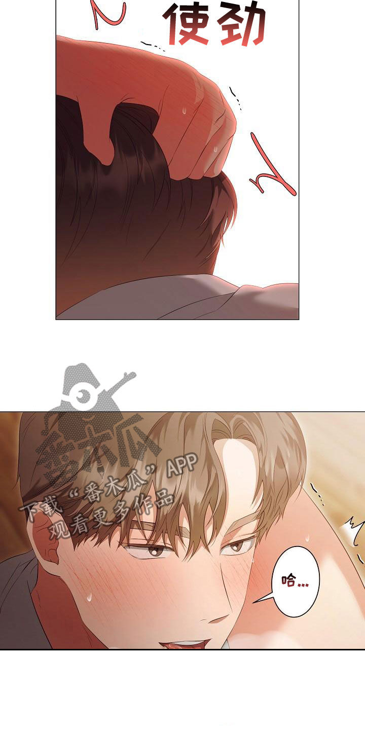第75章：只要你愿意17