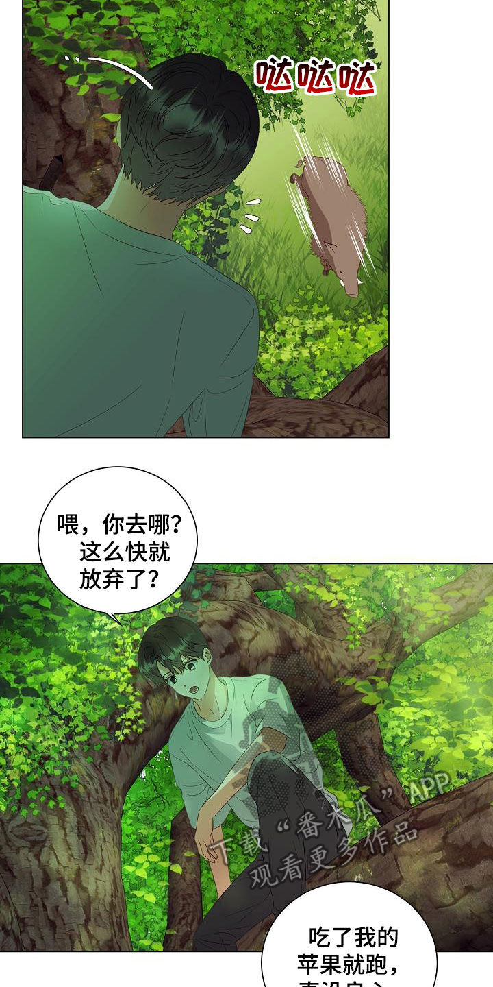 第49章：野猪11