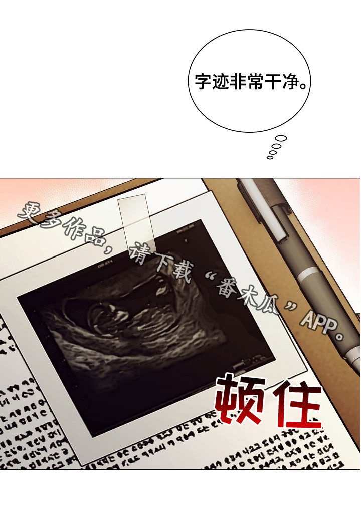 第77章：手册16