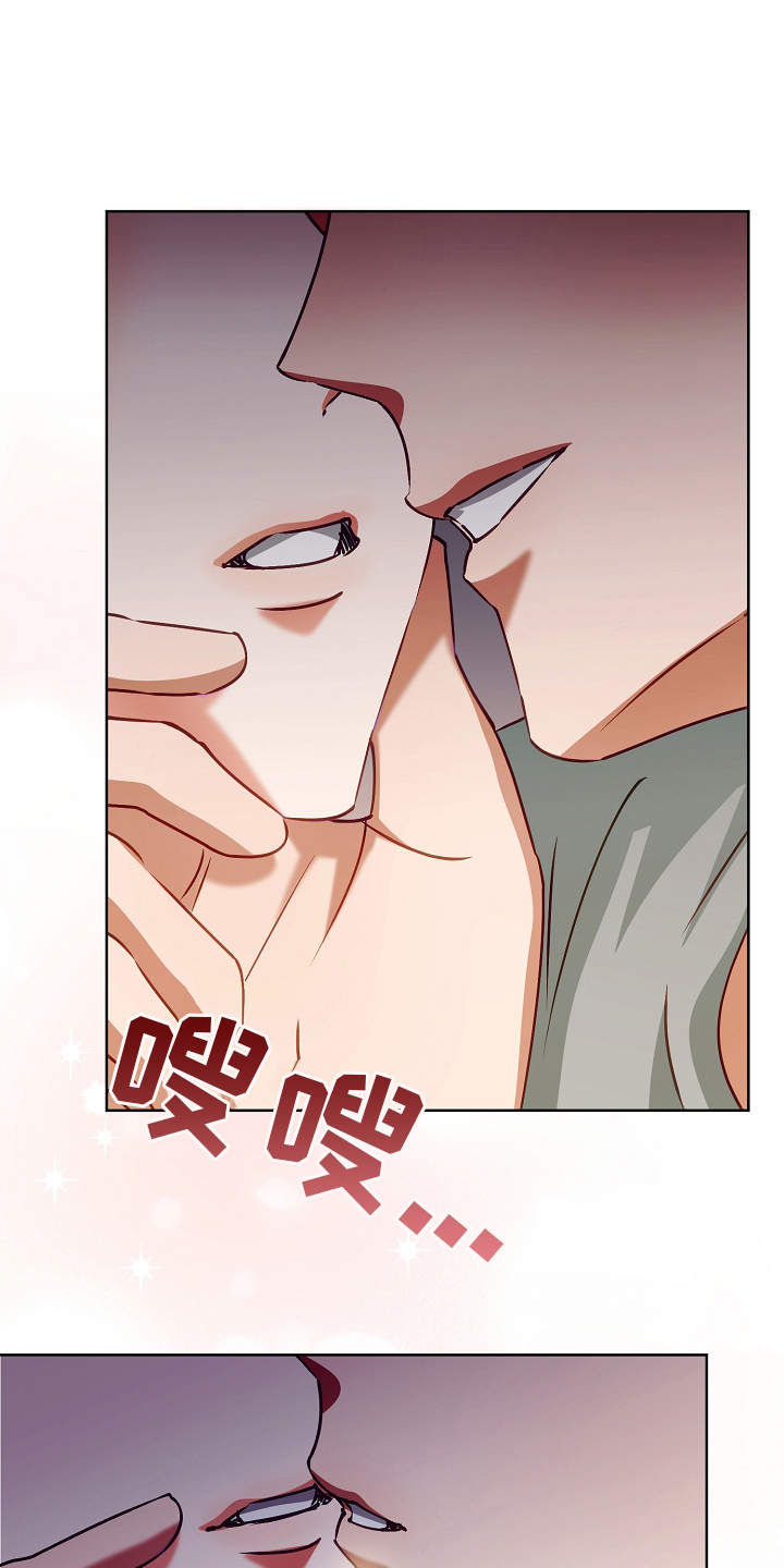 第17章：错觉0
