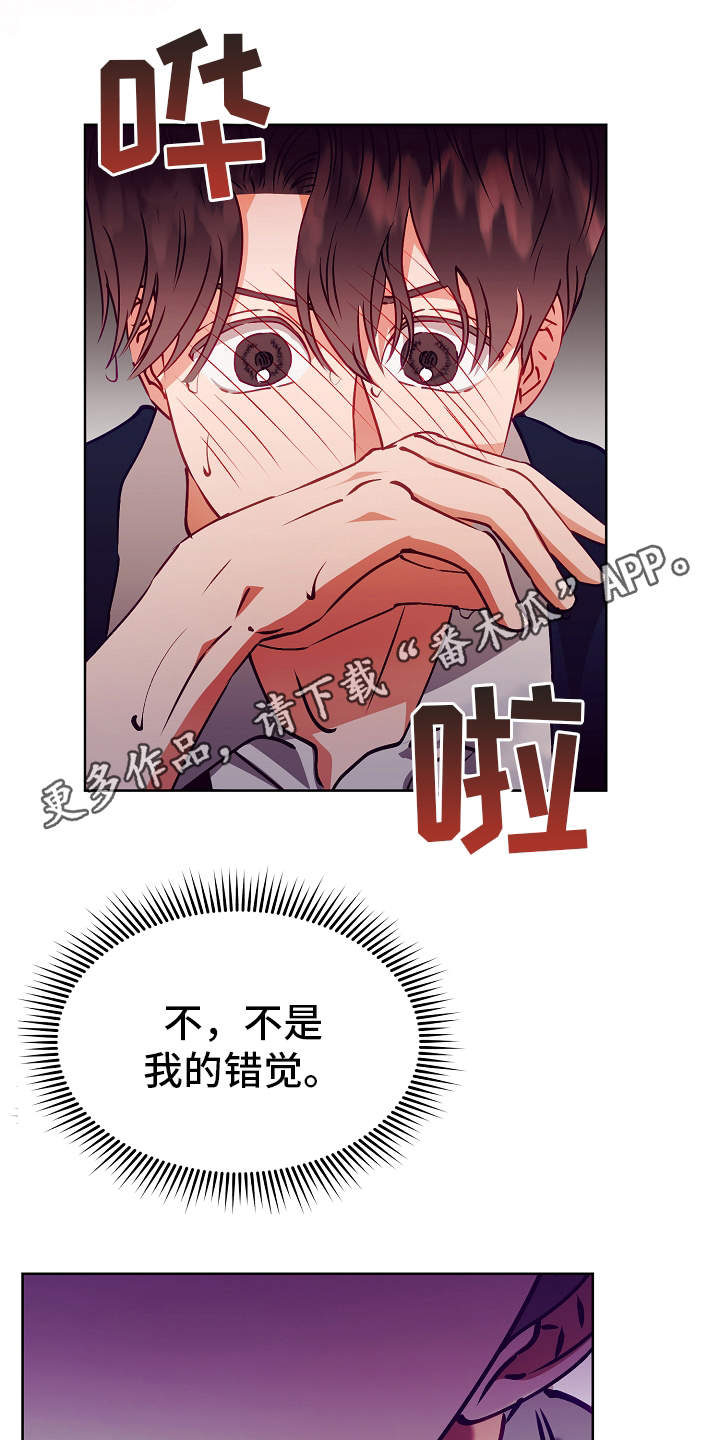 第17章：错觉14