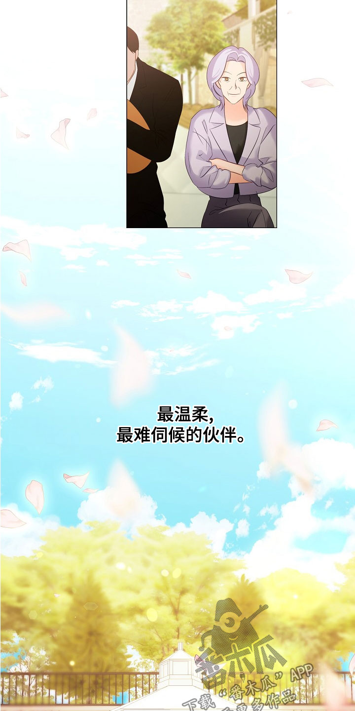 第82章：婚礼18