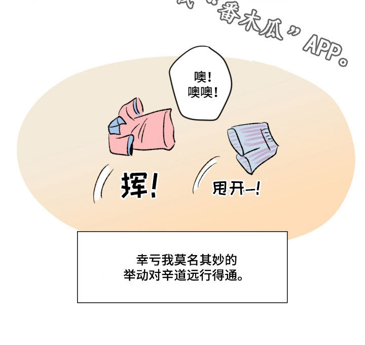 第22章：行得通11