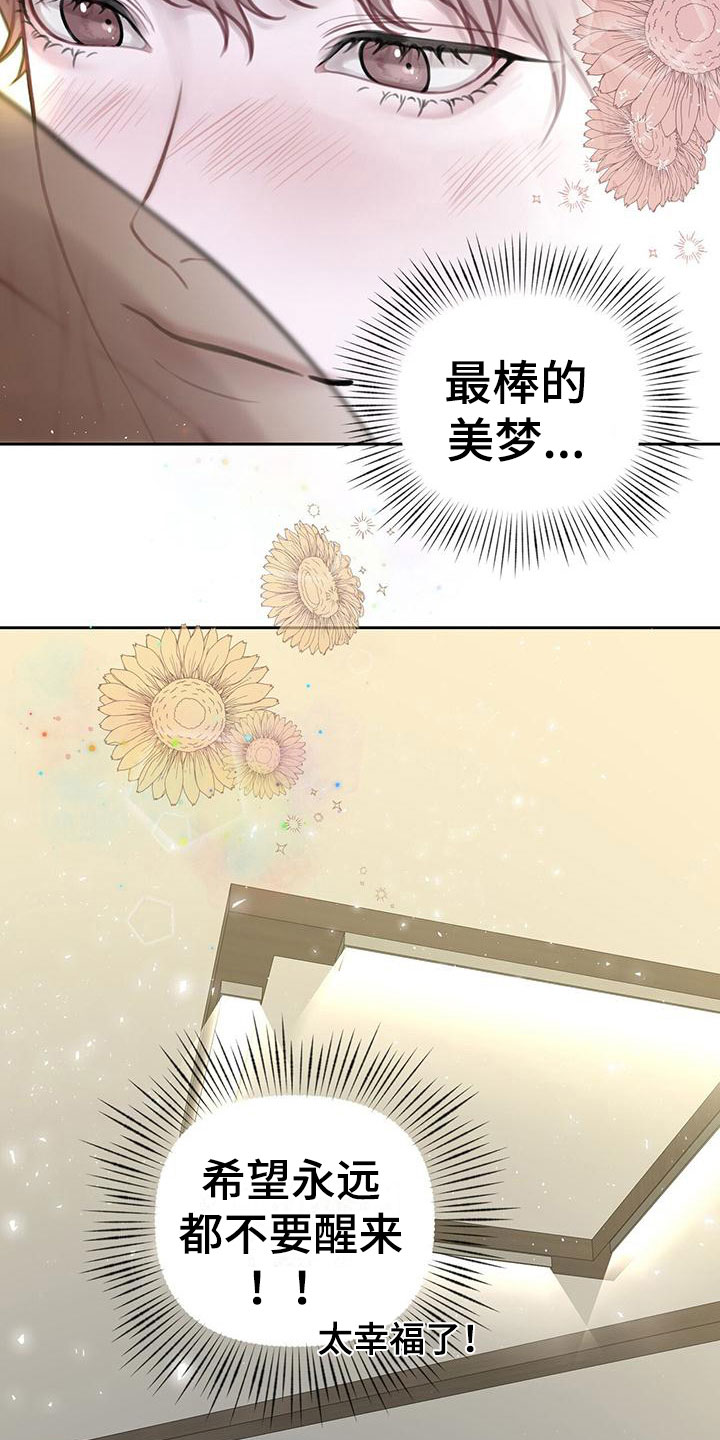 第3章：最棒的梦30