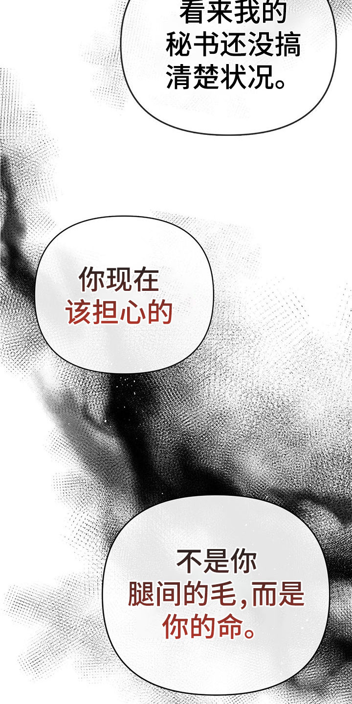 第3章：最棒的梦13