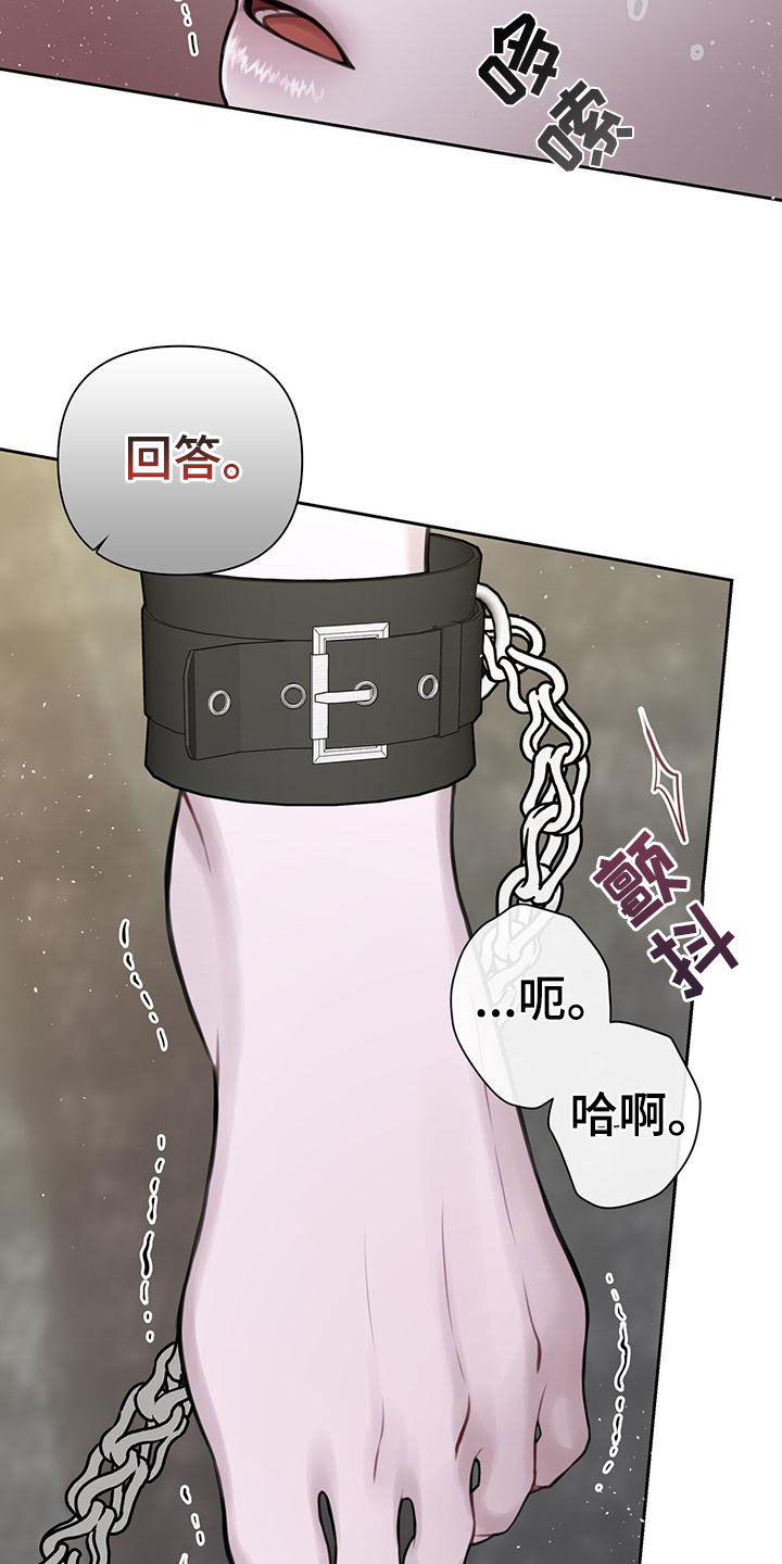 第3章：最棒的梦16