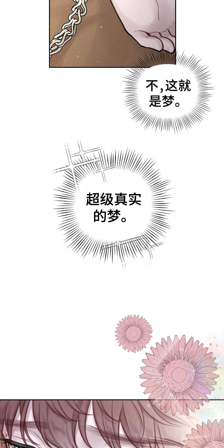 第3章：最棒的梦29
