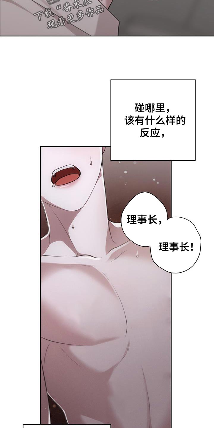 第21章：按照计划19