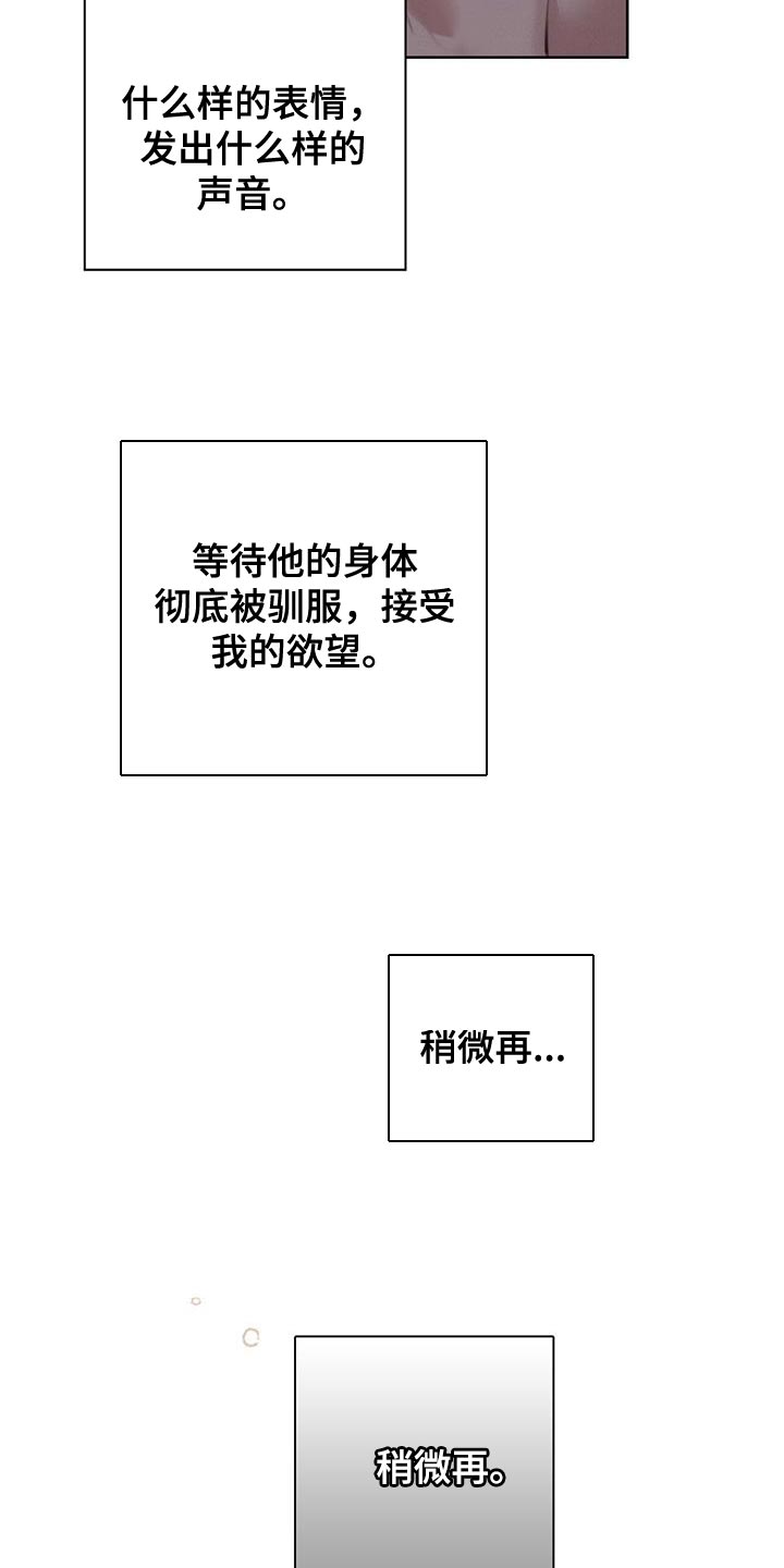 第21章：按照计划20