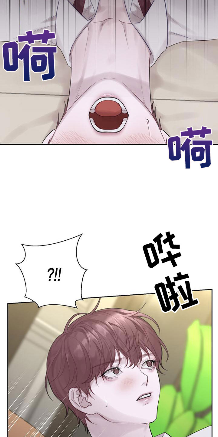 第5章：不是梦19