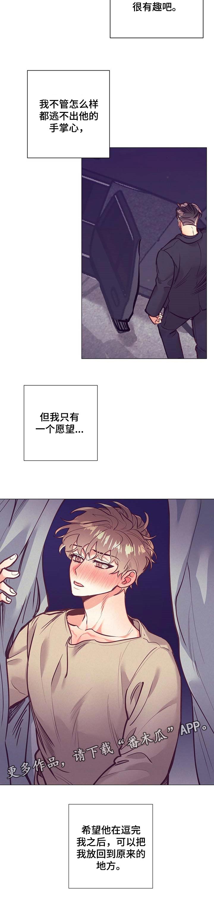 第27章：愿望11