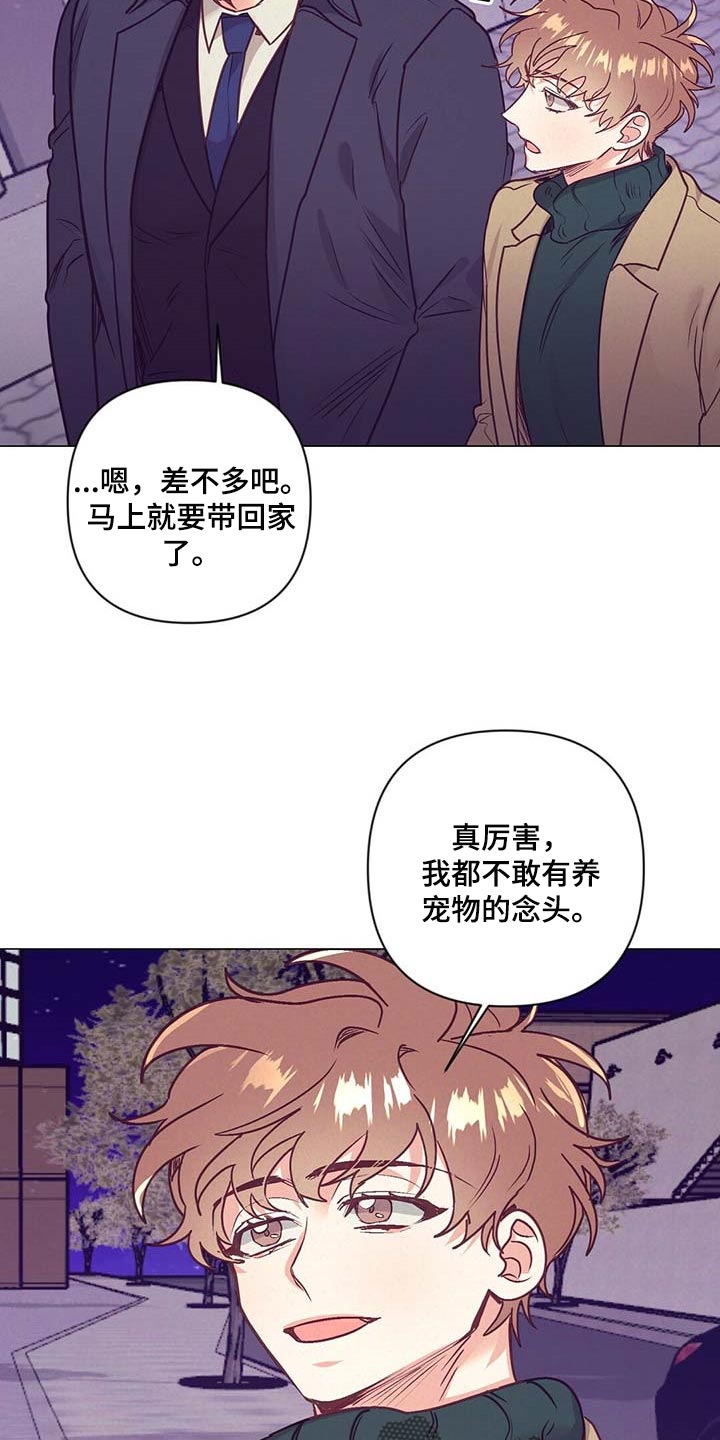 第42章：第一次这么期待21