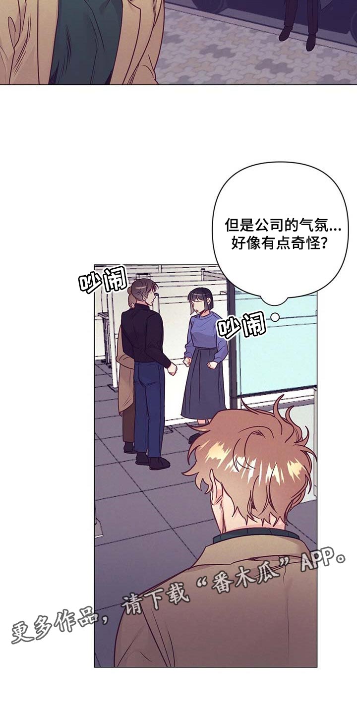 第41章：奇怪的氛围16