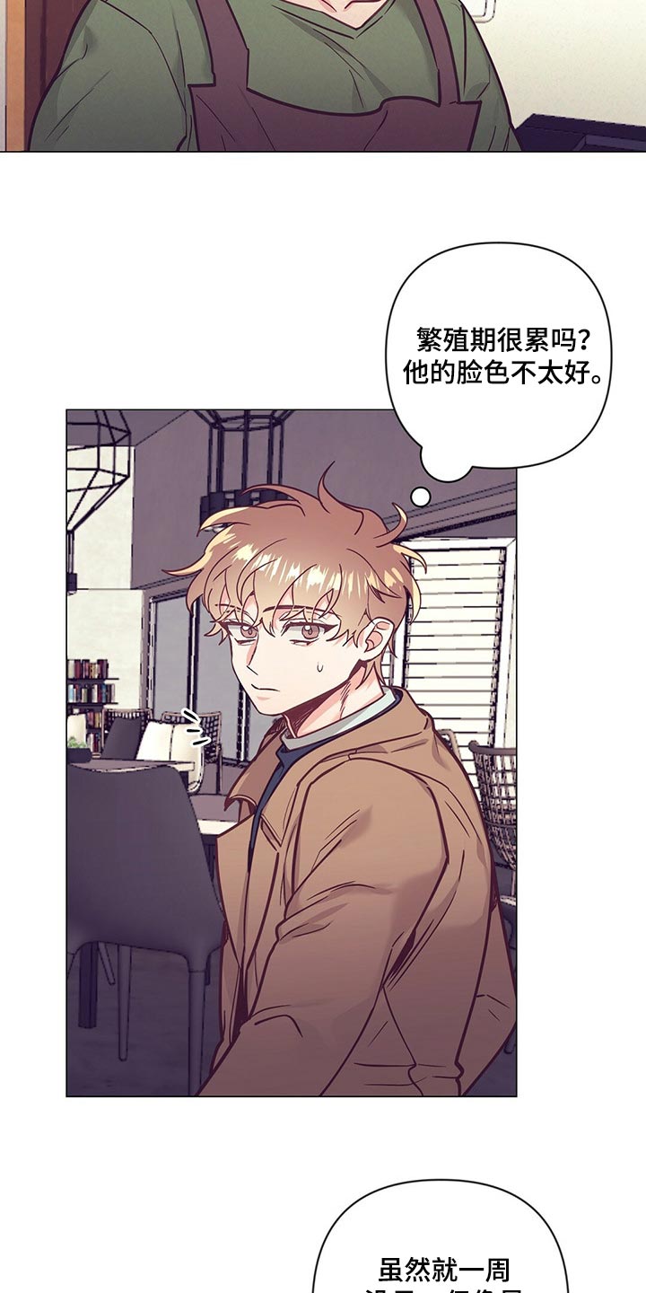 第54章：心生期待10