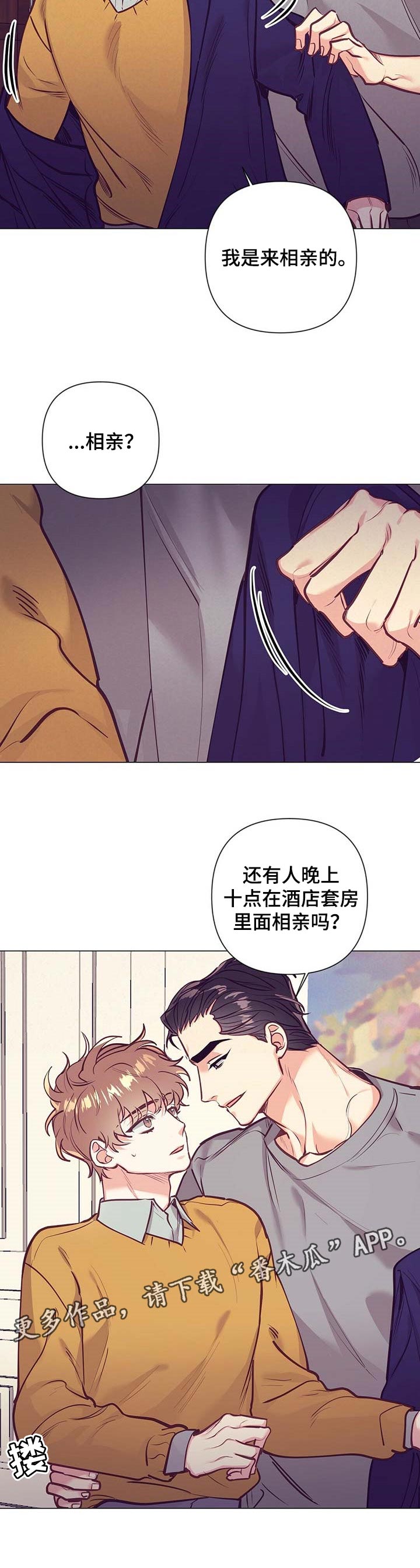 第29章：相亲9