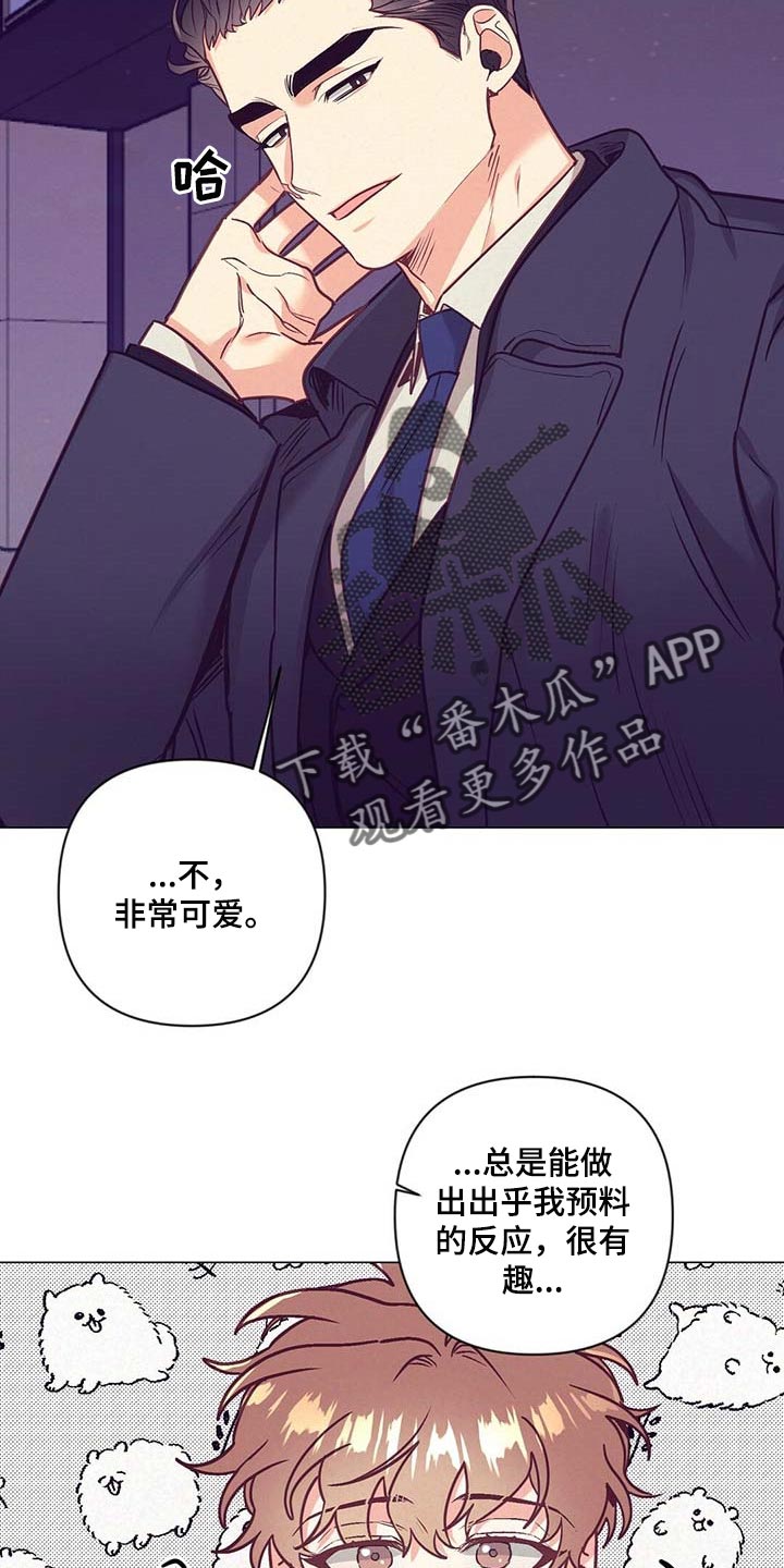 第42章：第一次这么期待17