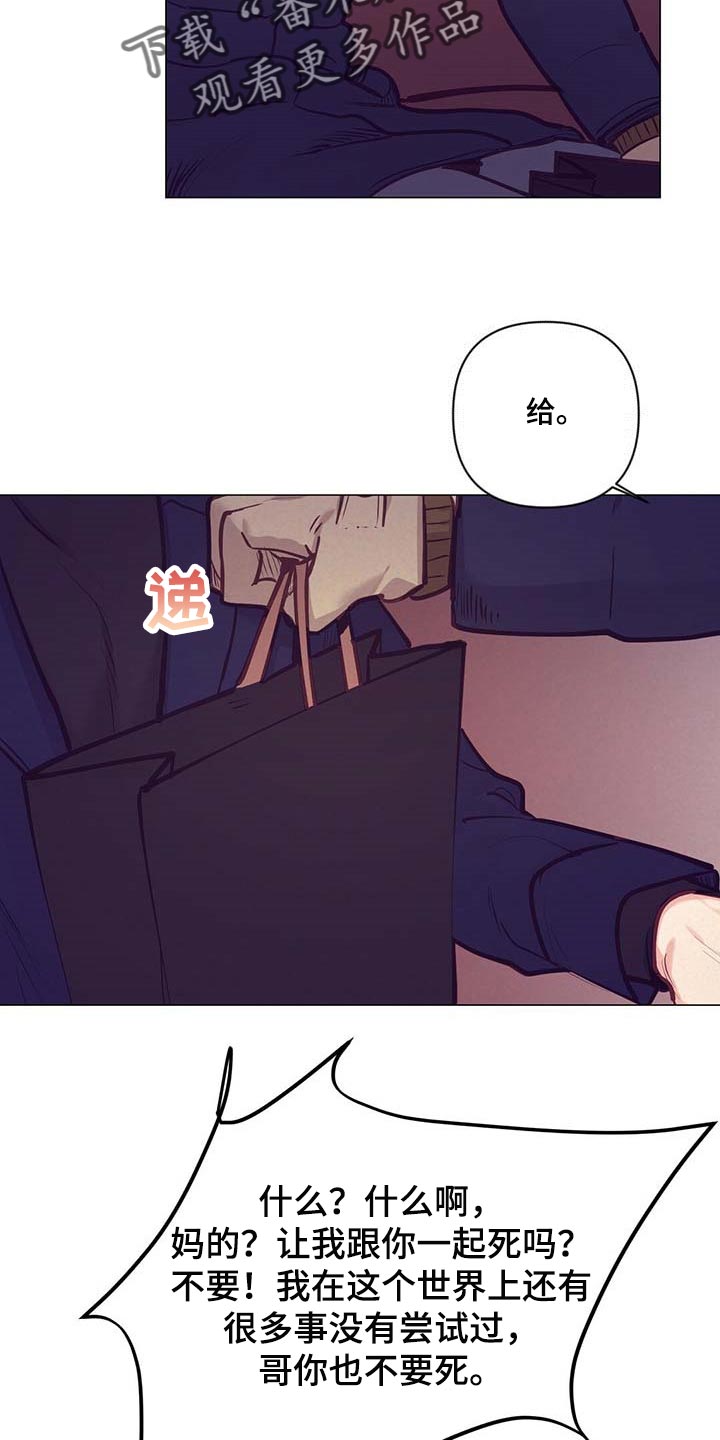 第37章：荣幸12