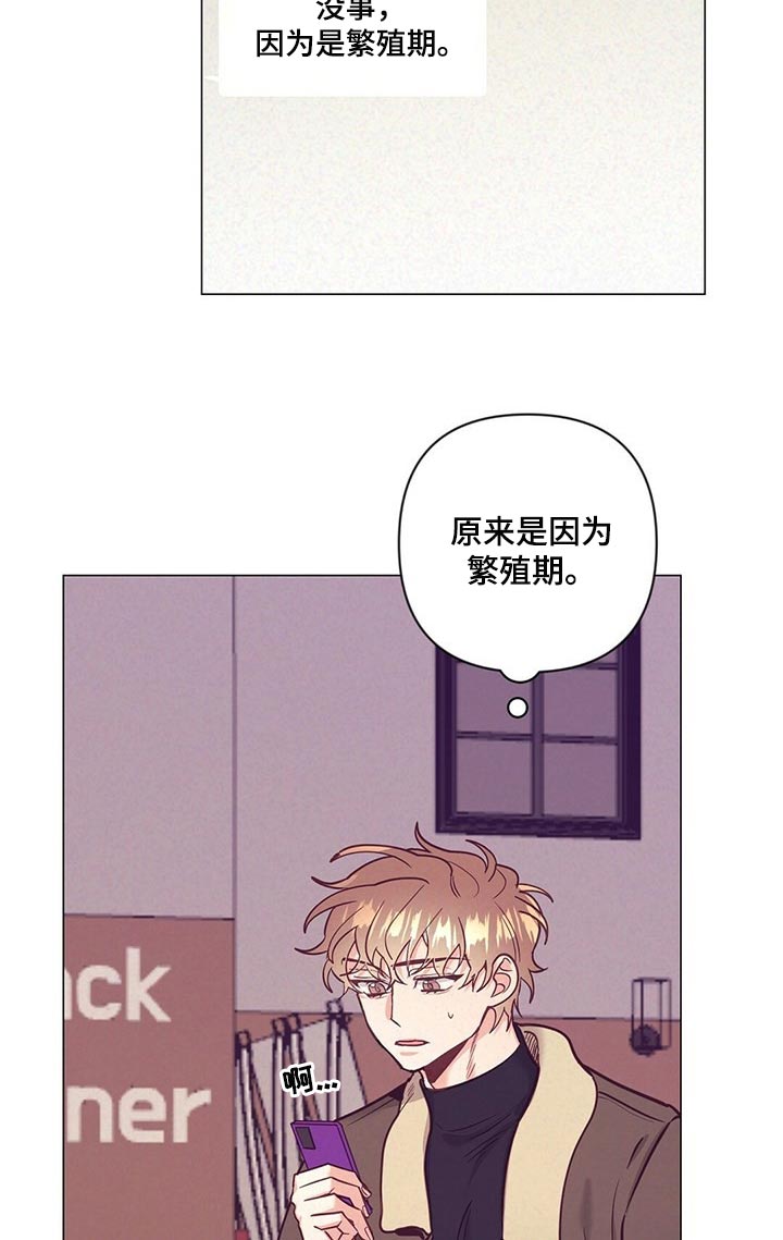第53章：又在撩人11