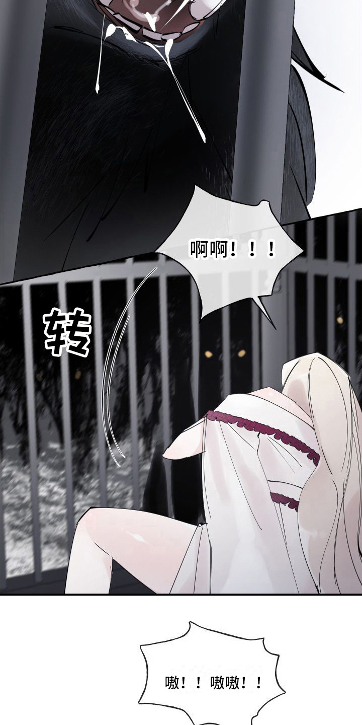 第3章：白色巨狼6