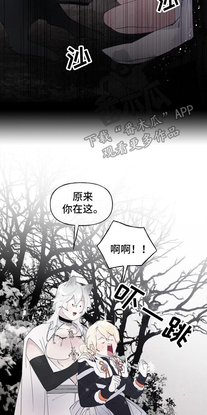 第12章： 另外的祭品14