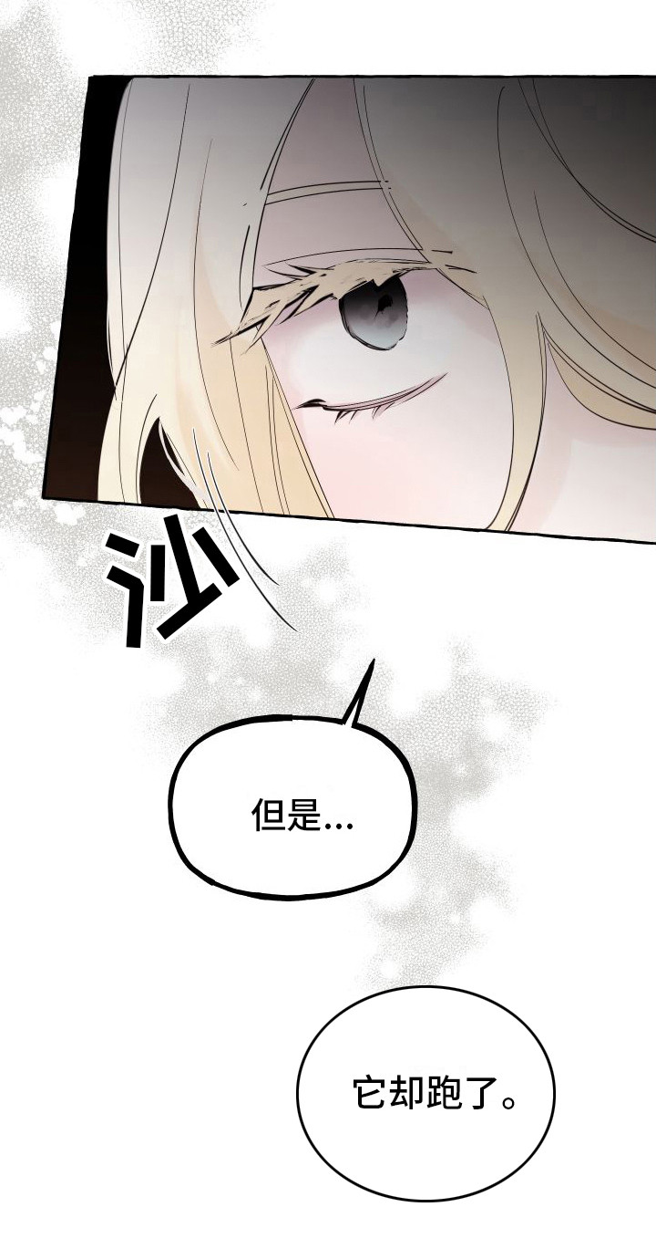 第16章：感到混乱24