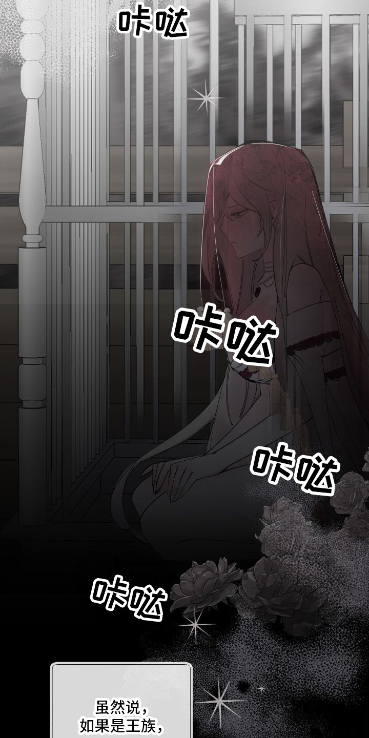 第1章：亡国公主14