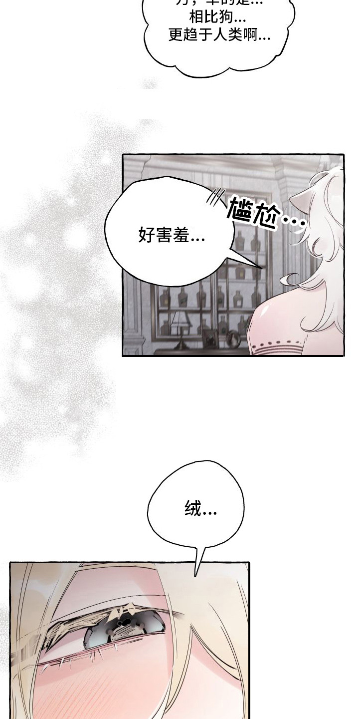 第19章：害羞9