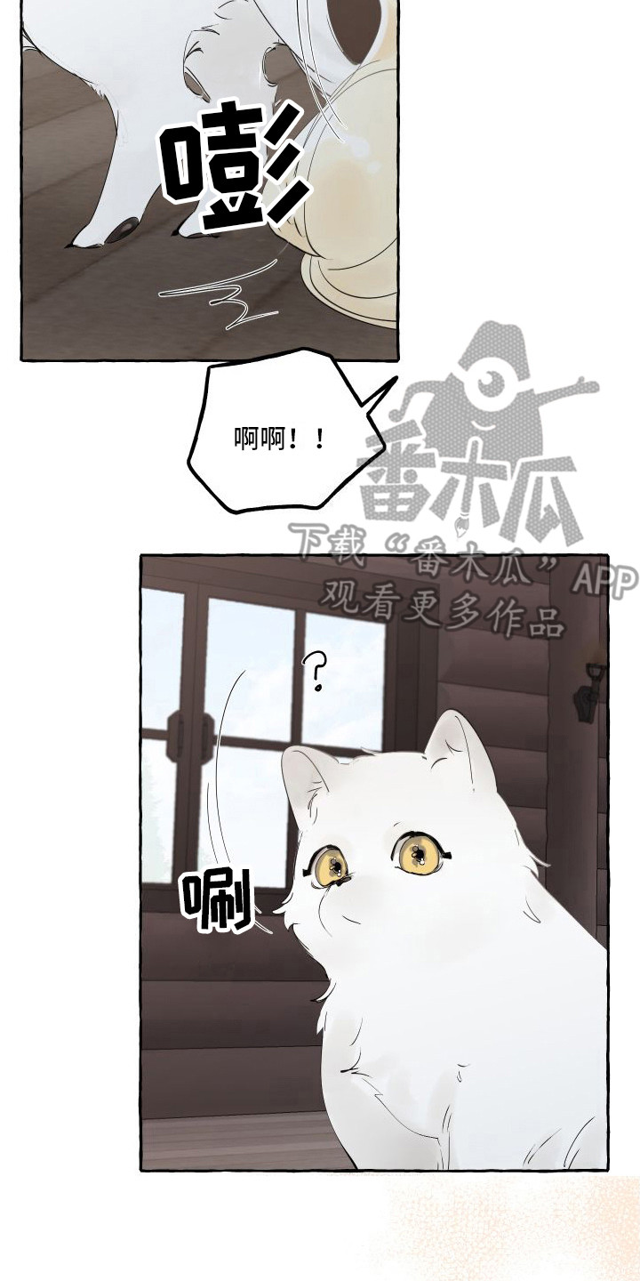 第13章：熟悉的身影16