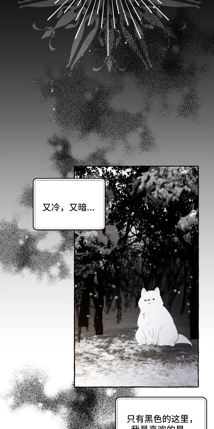 第14章：绒球20