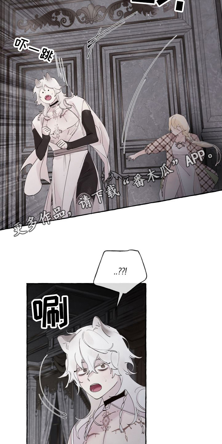 第16章：感到混乱10