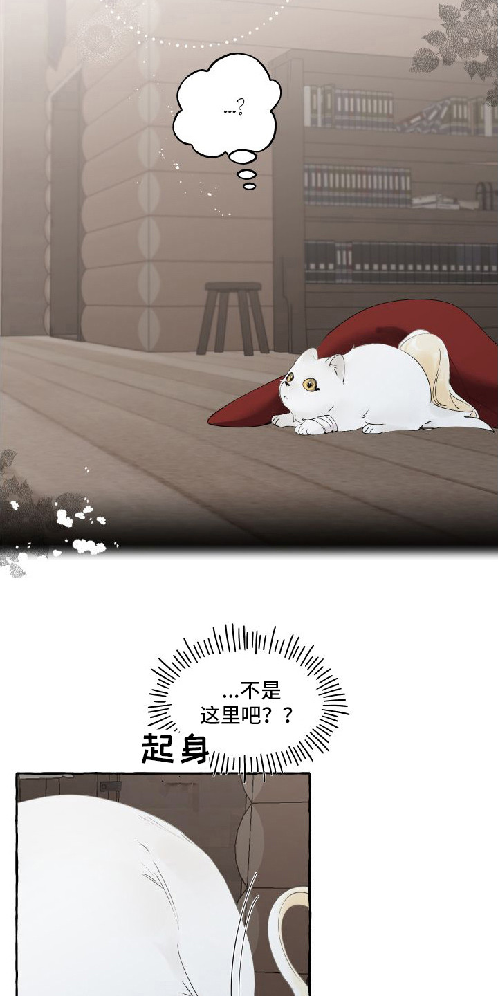 第13章：熟悉的身影15