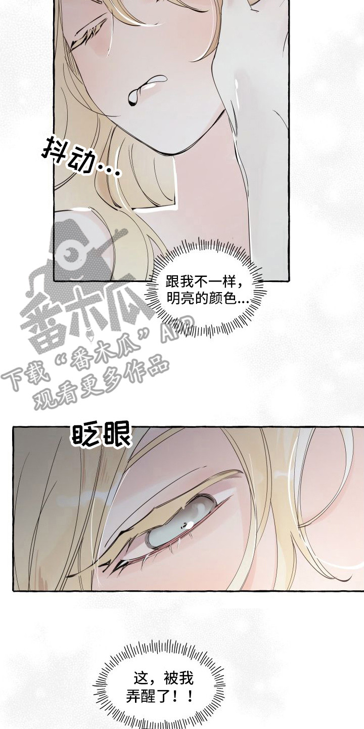 第20章：我的春天（完结）19