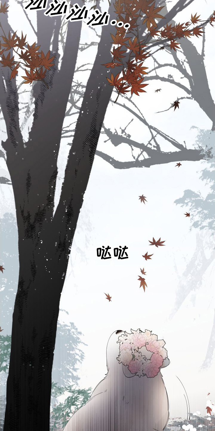 第14章：绒球14