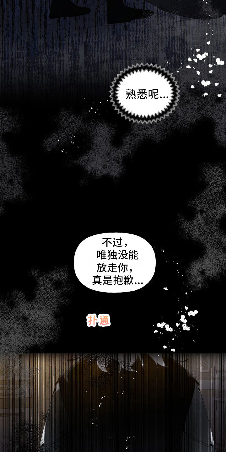 第13章：熟悉的身影8