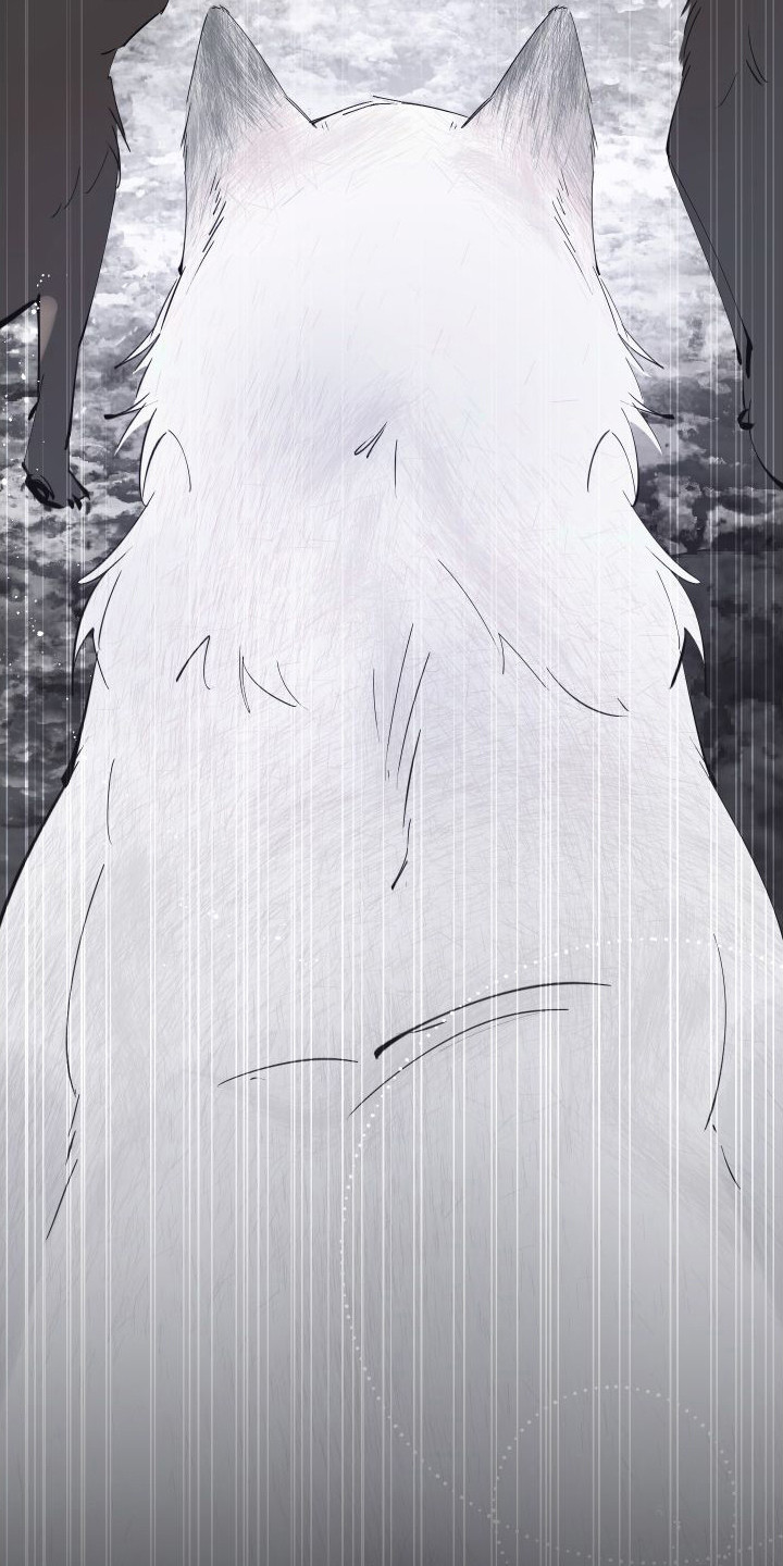 第3章：白色巨狼15