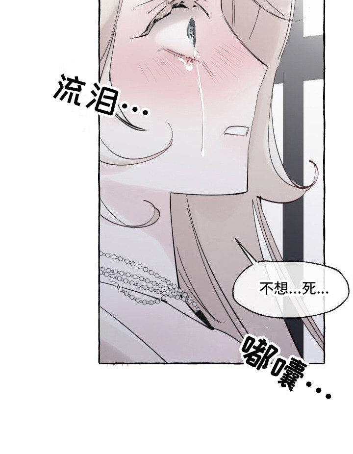 第3章：白色巨狼9