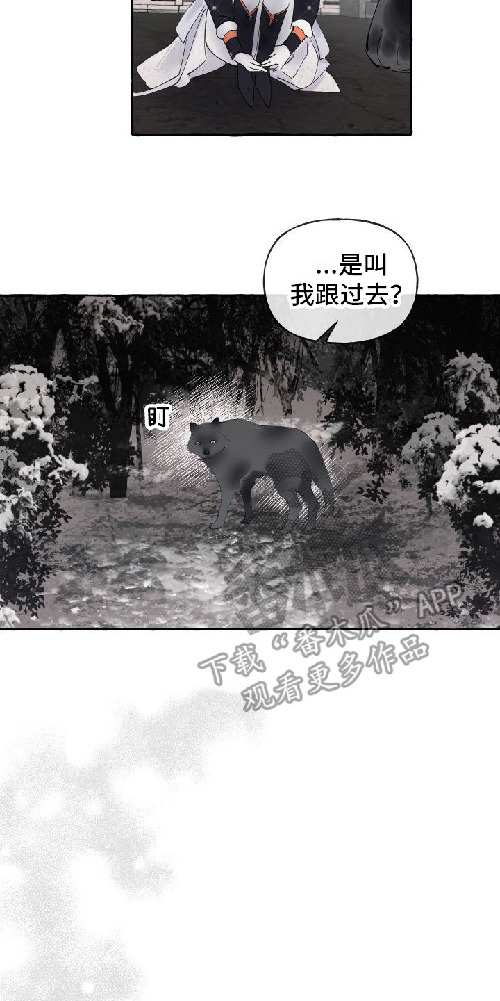 第12章： 另外的祭品7