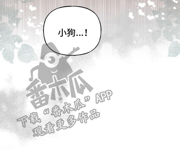 第13章：熟悉的身影13
