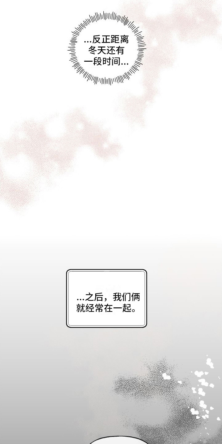 第14章：绒球5