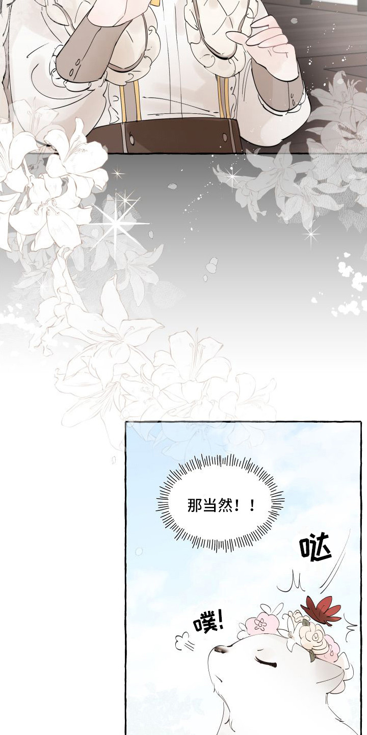 第14章：绒球12