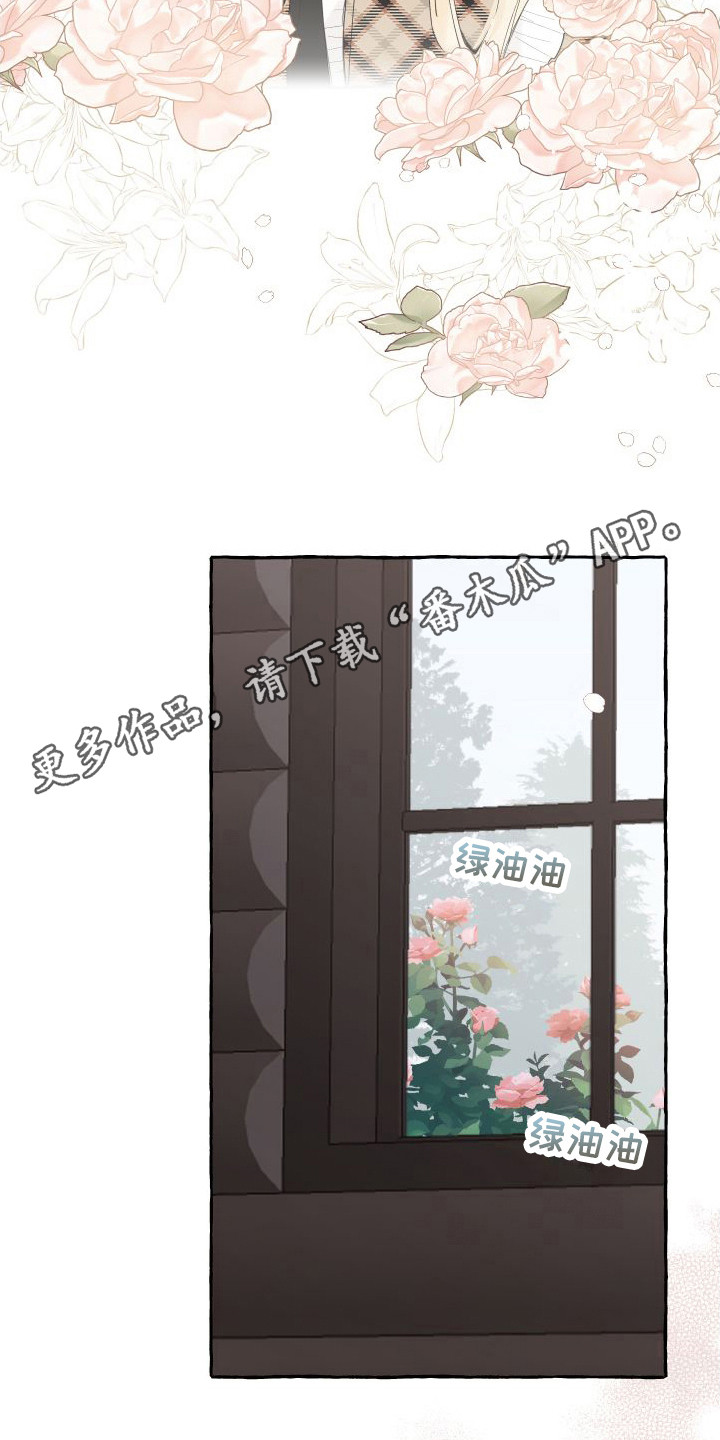 第14章：绒球4