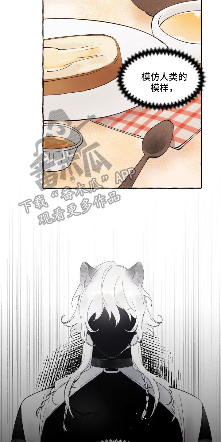 第6章： 活命的办法19