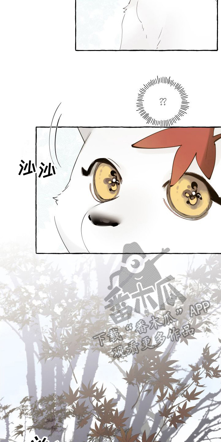 第14章：绒球13