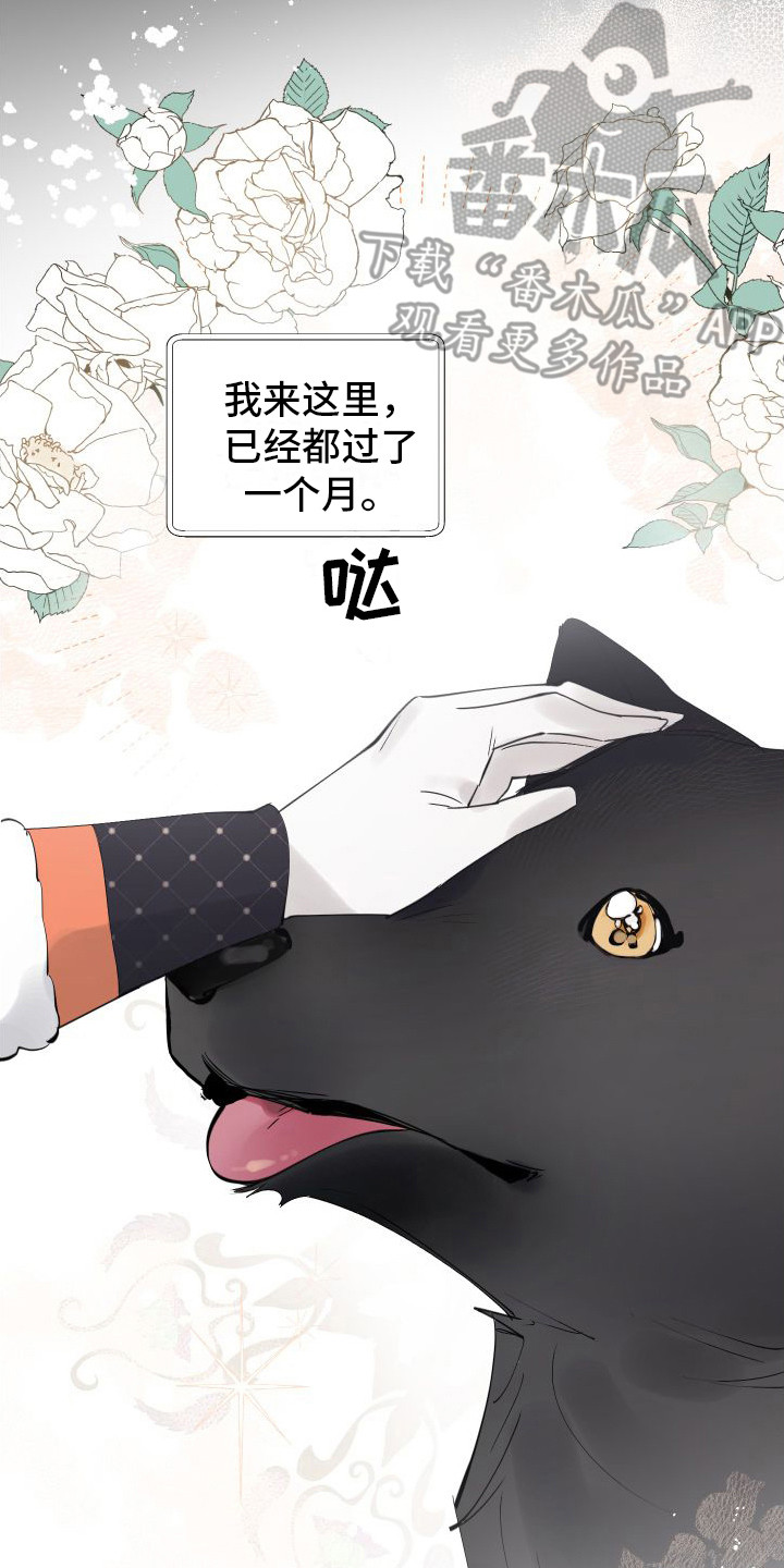 第12章： 另外的祭品1