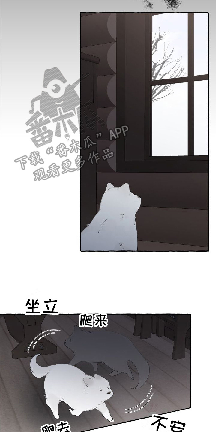 第14章：绒球16