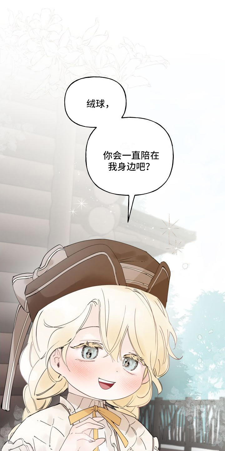 第14章：绒球11