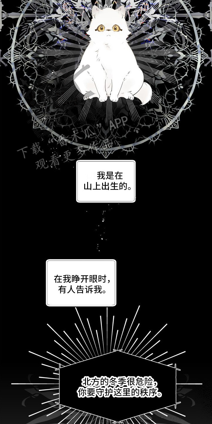 第14章：绒球19